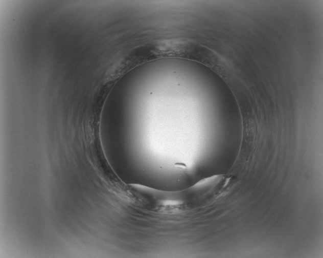 X0000066940751200603241142