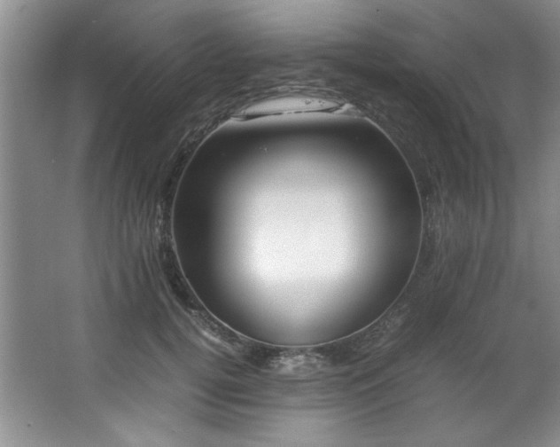 X0000066940752200603241142