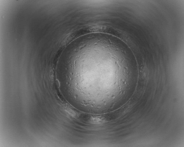 X0000066940753200603241142