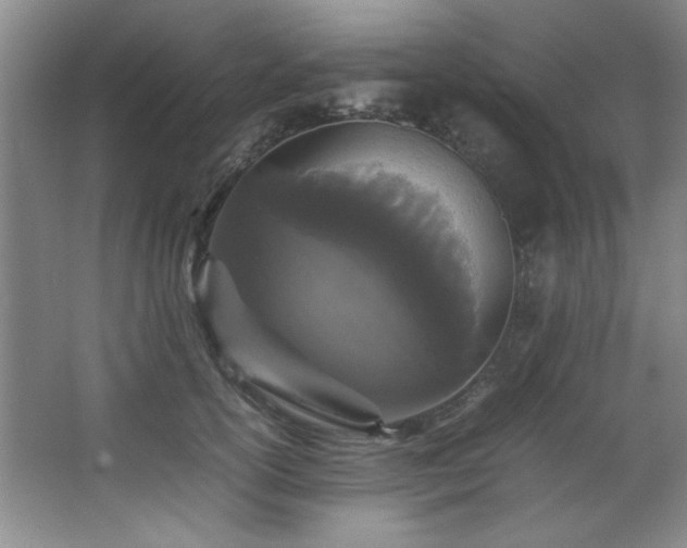 X0000066940754200603241142