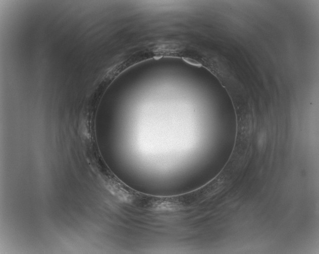 X0000066940755200603241142