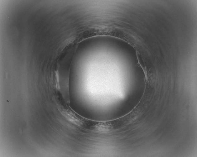 X0000066940756200603241142