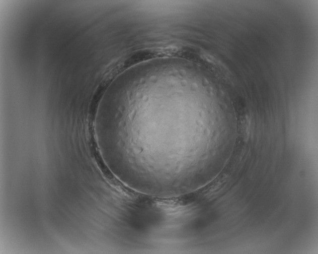 X0000066940757200603241142