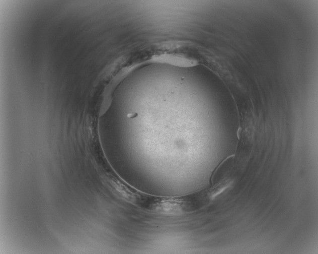 X0000066940758200603241142