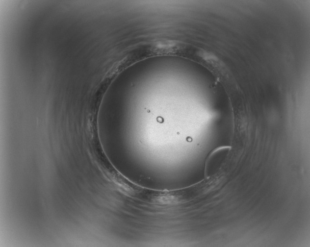 X0000066940759200603241142