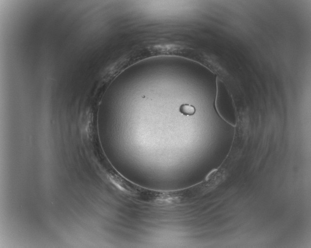 X0000066940760200603241142