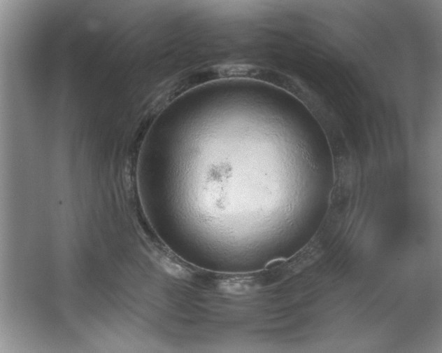 X0000066940761200603241142