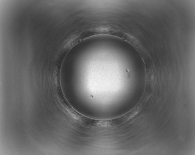 X0000066940762200603241142