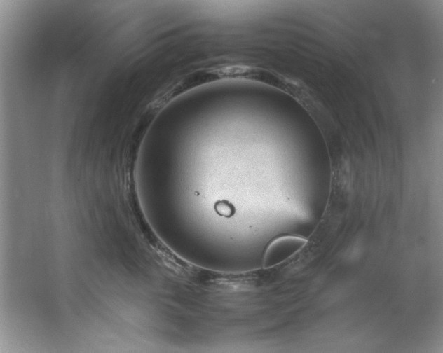 X0000066940763200603241142