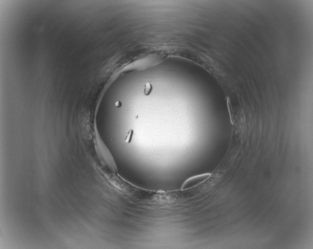 X0000066940764200603241142