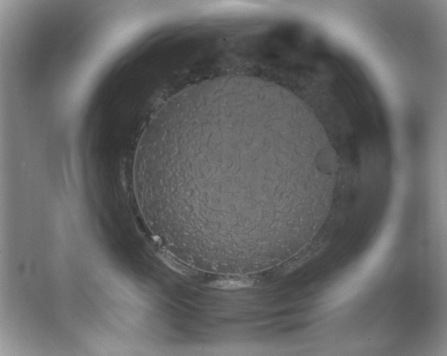 X0000066940765200603241142