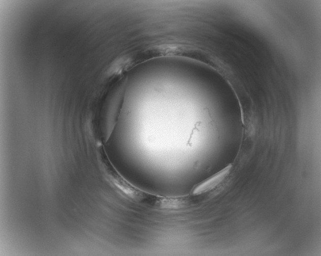 X0000066940766200603241142