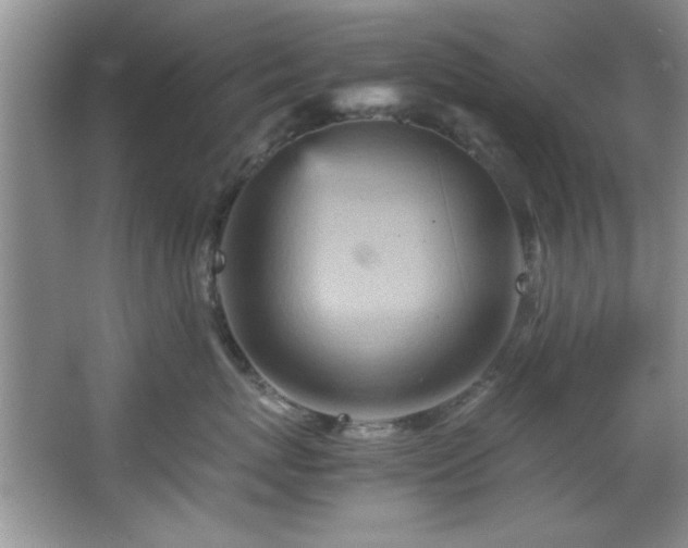 X0000066940767200603241142