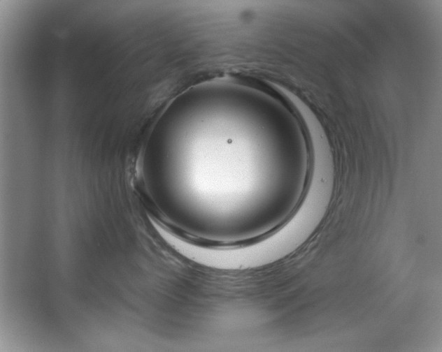 X0000066940768200603241142