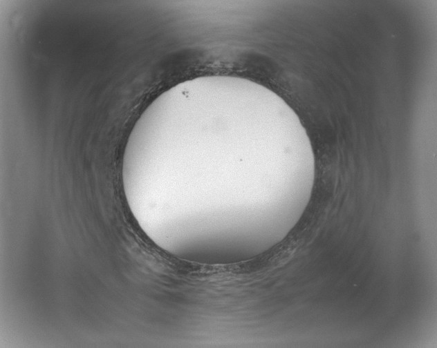 X0000066940769200603241141