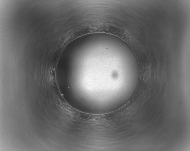 X0000066940770200603241141