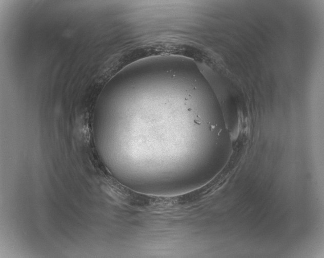 X0000066940771200603241141