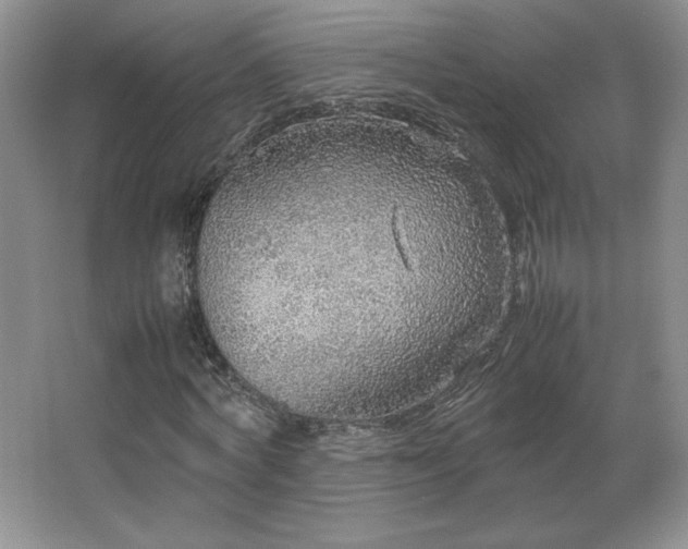 X0000066940772200603241141