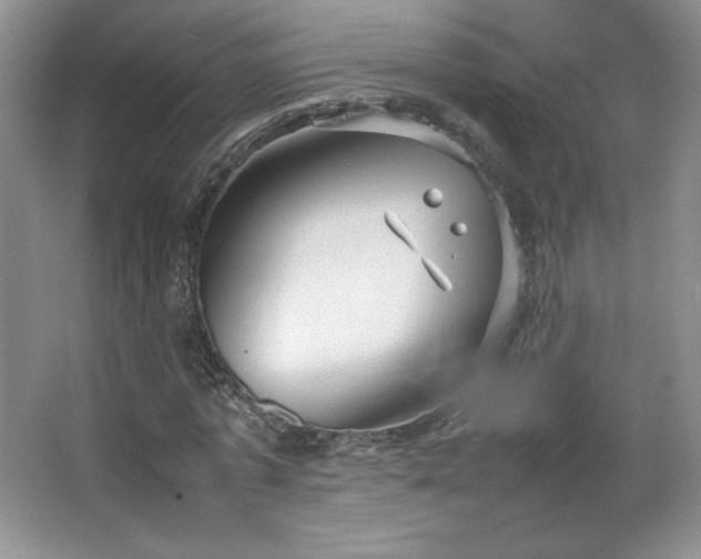 X0000066940773200603241141