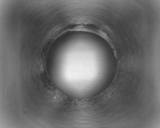 X0000066940774200603241141