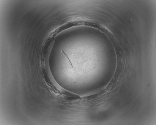 X0000066940775200603241141