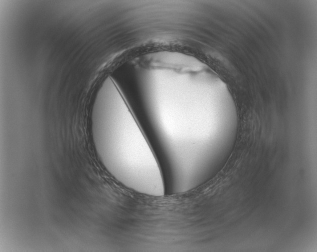 X0000066940776200603241141