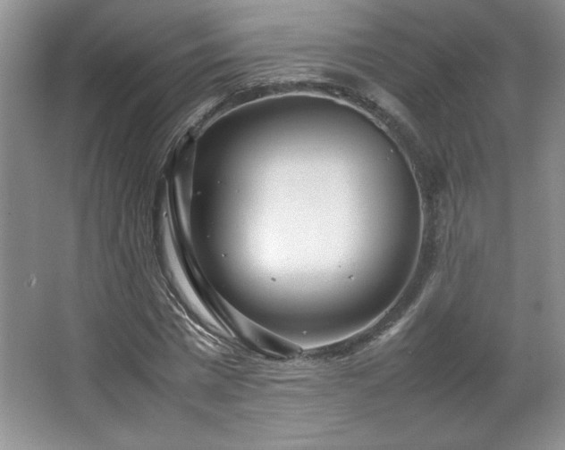 X0000066940777200603241141