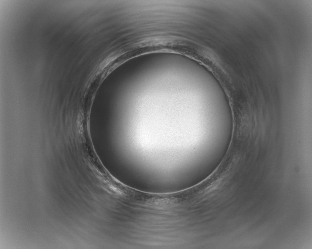 X0000066940778200603241141