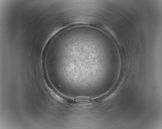 X0000066940779200603241141