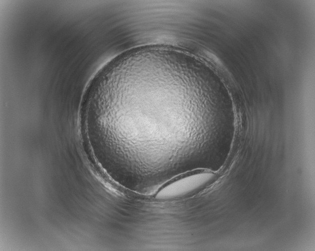 X0000066940780200603241141