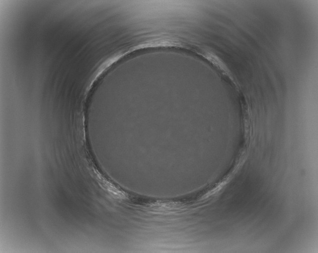 X0000066940781200603241141