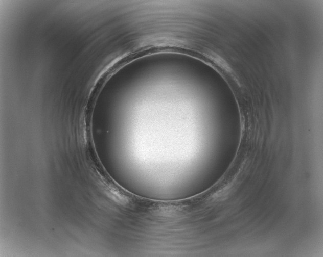 X0000066940782200603241141