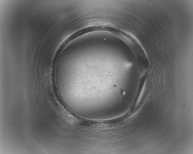 X0000066940783200603241141