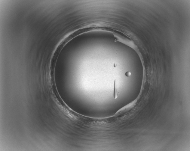 X0000066940784200603241141