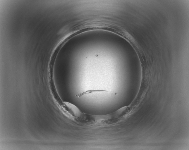 X0000066940787200603241141