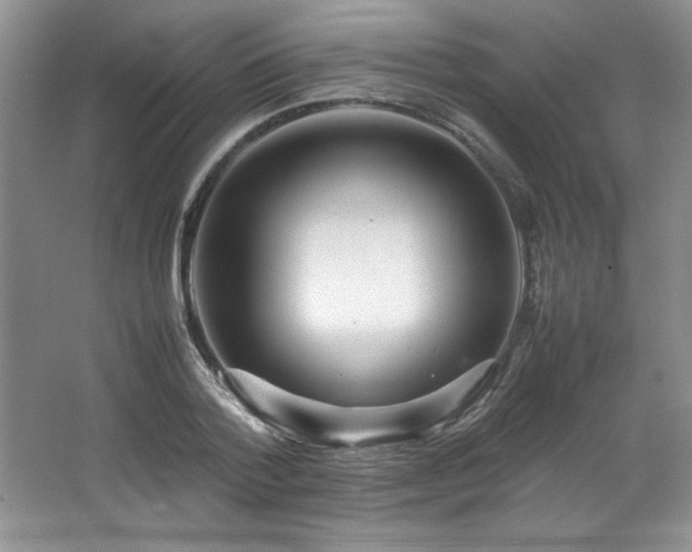 X0000066940788200603241141