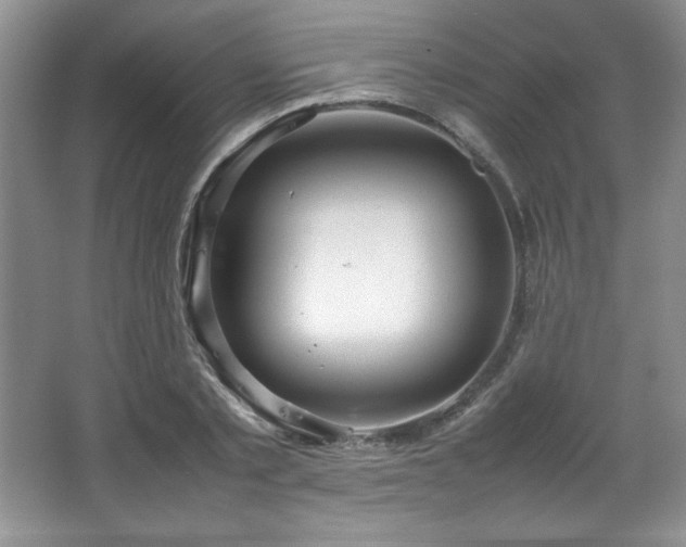 X0000066940789200603241141