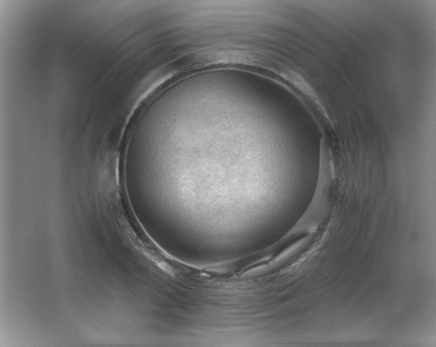 X0000066940790200603241141