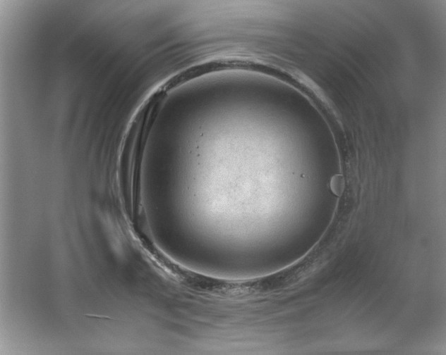 X0000066940791200603241141