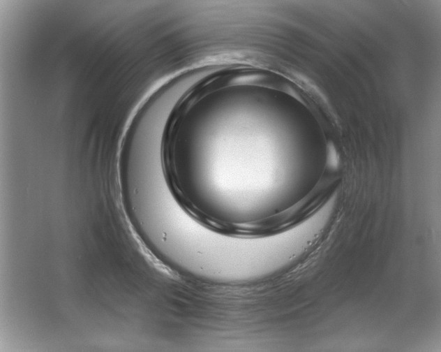 X0000066940792200603241141