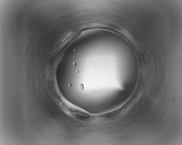 X0000066940793200603241141