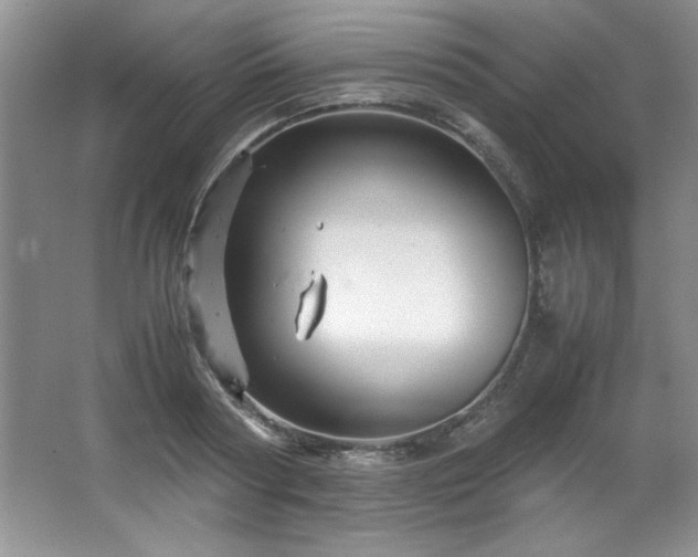 X0000066940794200603241141