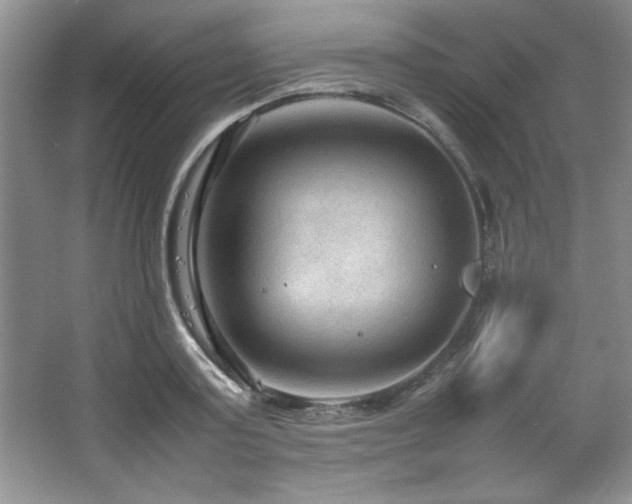 X0000066940795200603241141