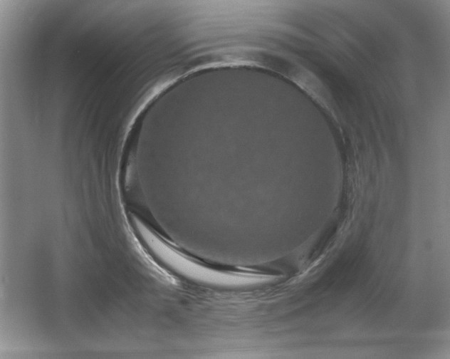 X0000066940797200603241141