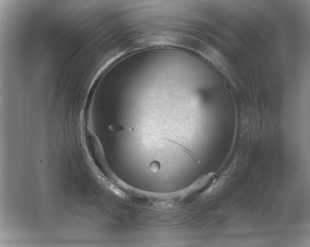 X0000066940798200603241141