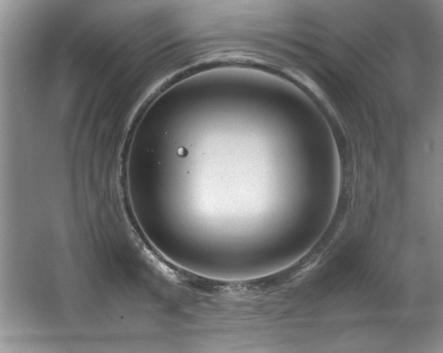 X0000066940799200603241140