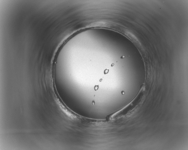 X0000066940800200603241140