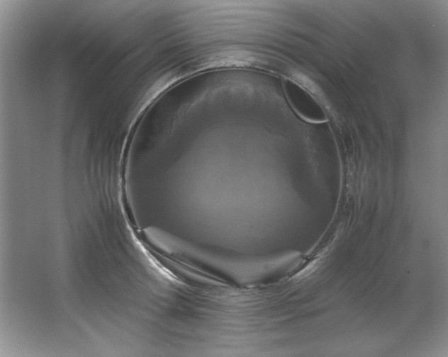 X0000066940802200603241140