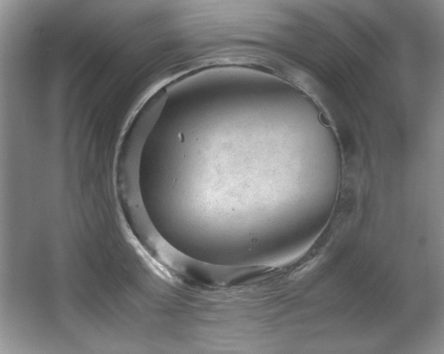 X0000066940803200603241140