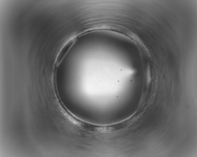 X0000066940805200603241140